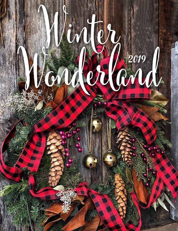 Winter Wonderland 2019 Brochure Cover