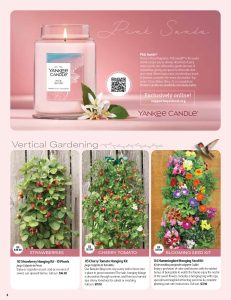 Spotlight your fundraiser: Our "Pink Sands" Yankee Candle, QR code for easy sales, and strawberry, tomato & hummingbird garden kits!.