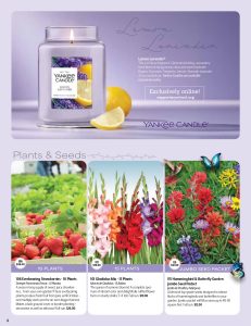 Lemon Lavender Yankee Candle with lemon wedge—ideal for your fundraiser. Plus, strawberry, gladiolus & butterfly garden options.